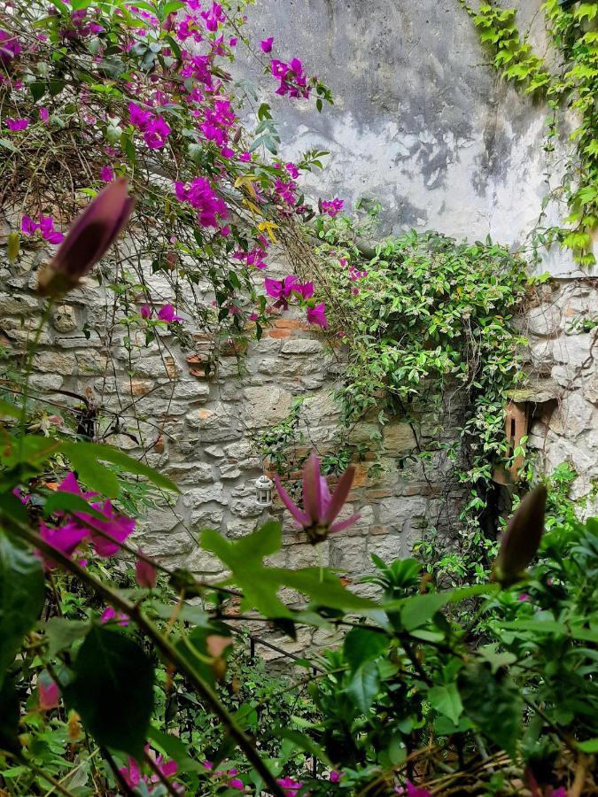 Grisia 26 Apartment Rovinj Luaran gambar